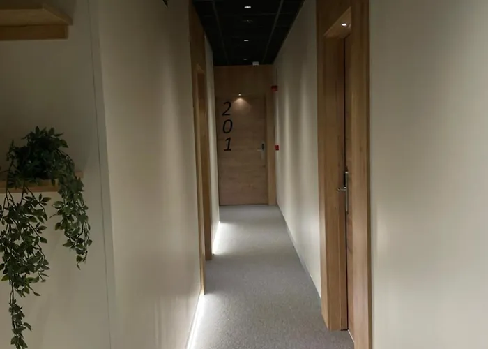 Casual Fuentes Konukevi Bilbao